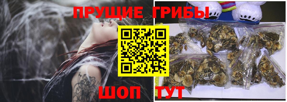 Кувандык  Псилоцибиновые грибы Magic Shrooms  Вход с VPN 